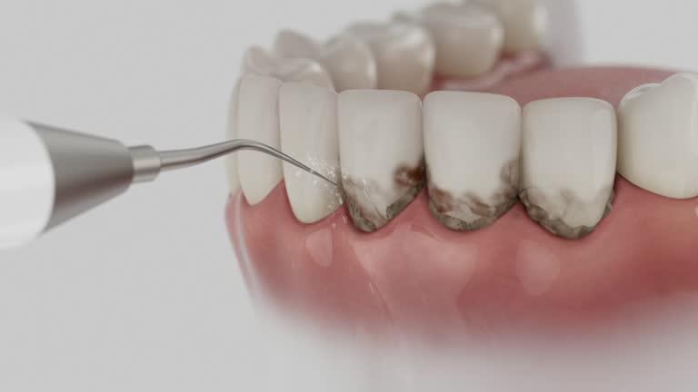 Reliable Dental contractor in Elgin, TX by Dentist Open Now